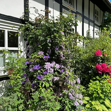 Fachwerkliebe Baudenkmal Ornes فيلة